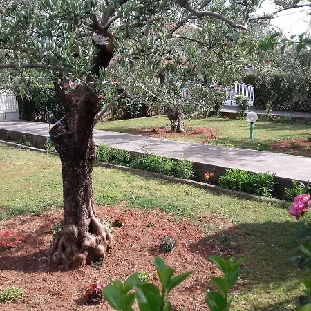 Appartement Vlado Zadar