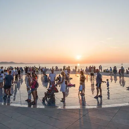 Vlado * Zadar