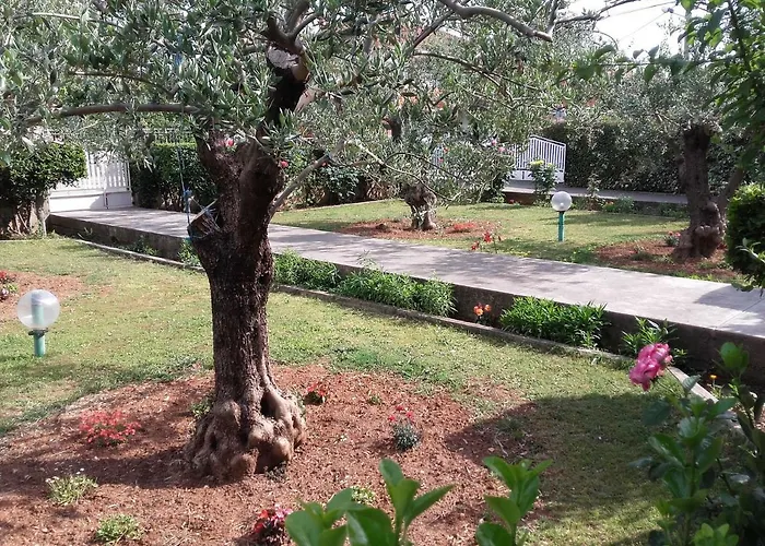 Apartmán Vlado Zadar